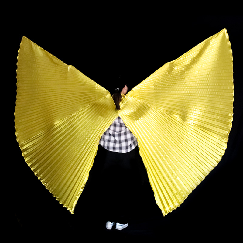 Women Accessories In Egypt - Ailes de danse du ventre pour