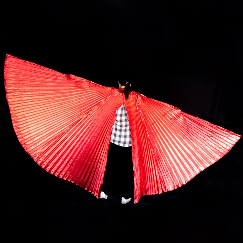 Ailes de danse du ventre pour  - Women Accessories In Egypt avis et prix