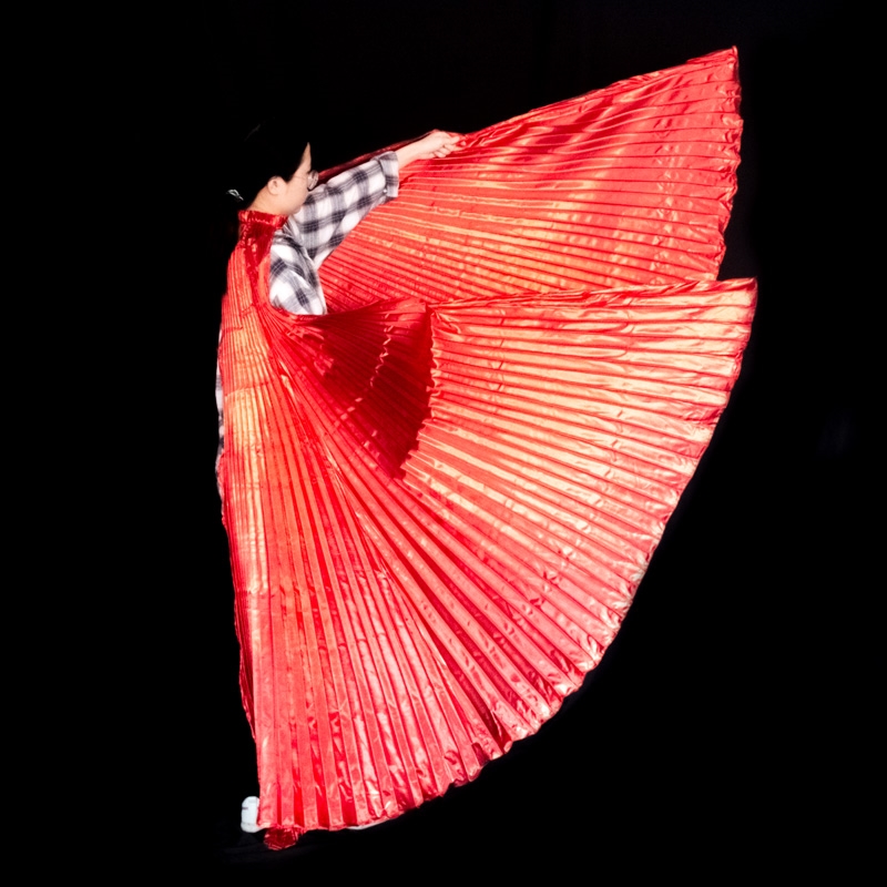 Ailes de danse du ventre pour  - Women Accessories In Egypt avis et prix